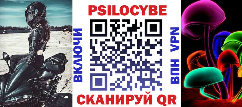 Купить  Петровск-Забайкальский  Псилоцибиновые грибы GOLDEN TEACHER 