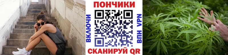 Купить  Петровск-Забайкальский  Бошки марихуана планчик 